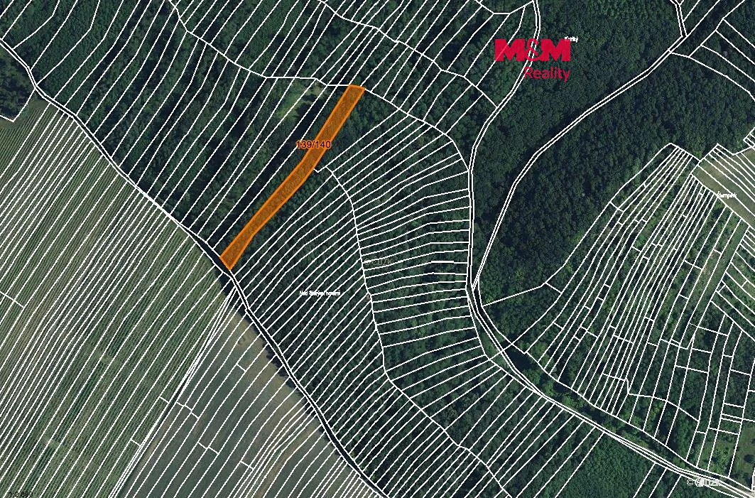 Prodej lesa 3219 m²